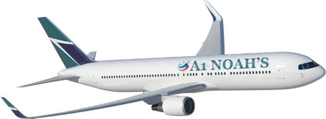 a1noahstravel.com